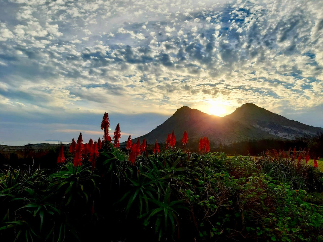 Glen Craig Pringle Bay主图