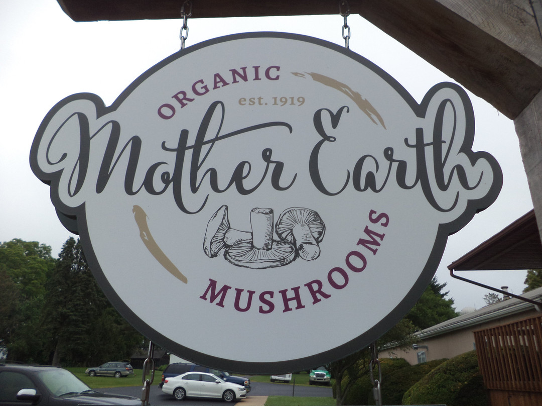 Mother Earth Organic Mushrooms景点图片