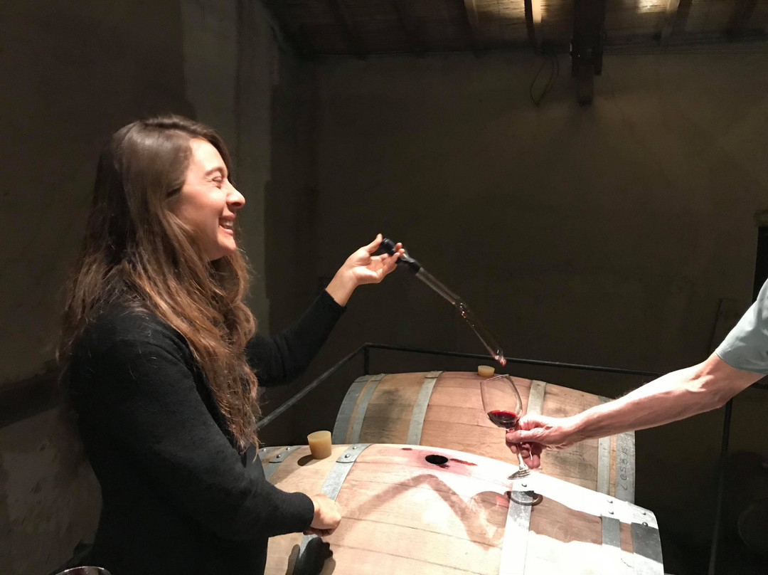 Borravino Wine Tours Argentina-门多萨必去景点
