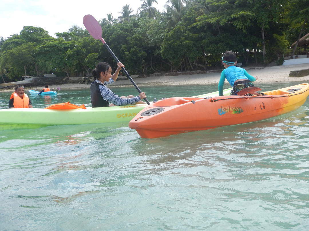 The Island Buenavista主图