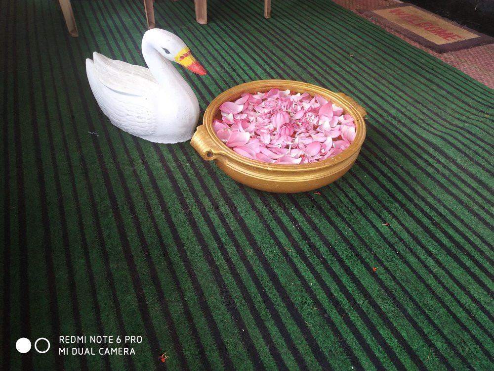 Adrika Ayurvedic Wellness and Yoga Retreat-瓦卡拉必去景点