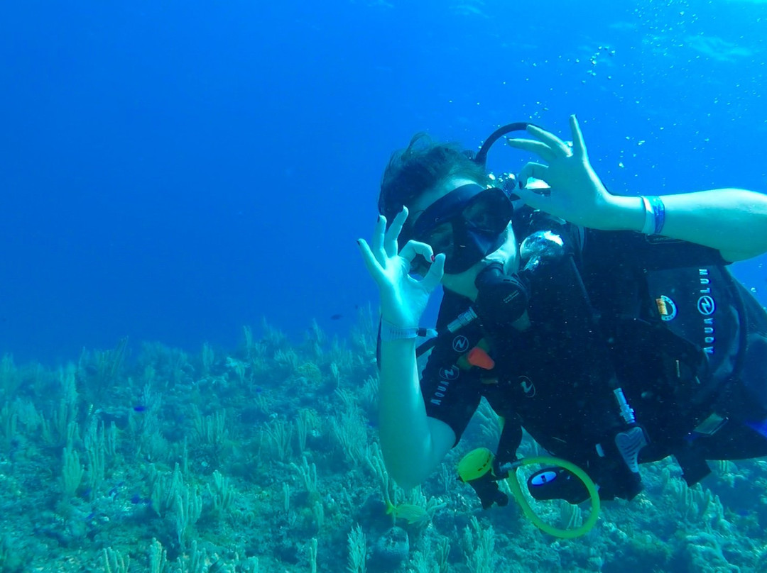Mayan Underworld Diving-坎昆必去景点