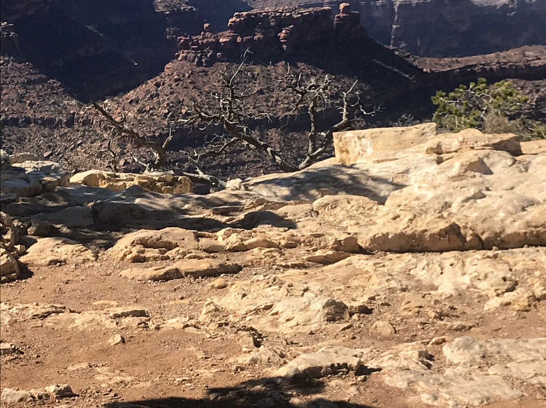 Arizona Private Tours-弗拉格斯塔夫必去景点