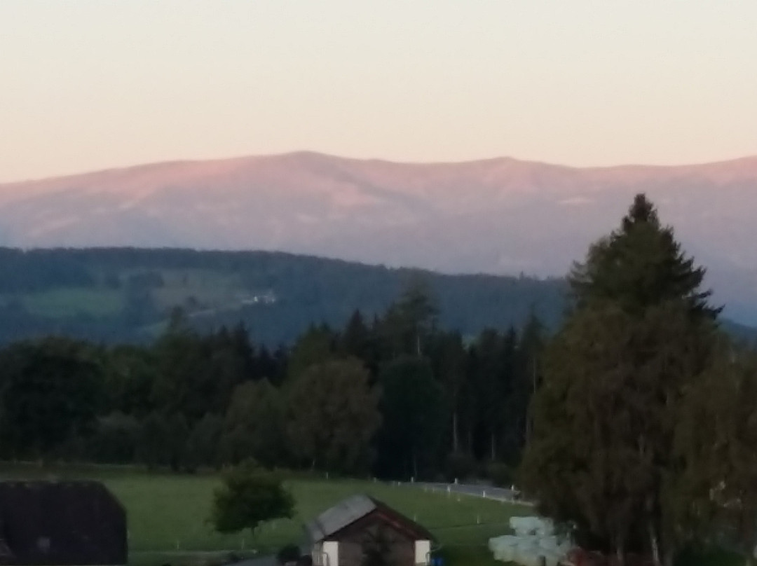 Hirschegg Rein酒店住宿-Alpenresidenz Berger