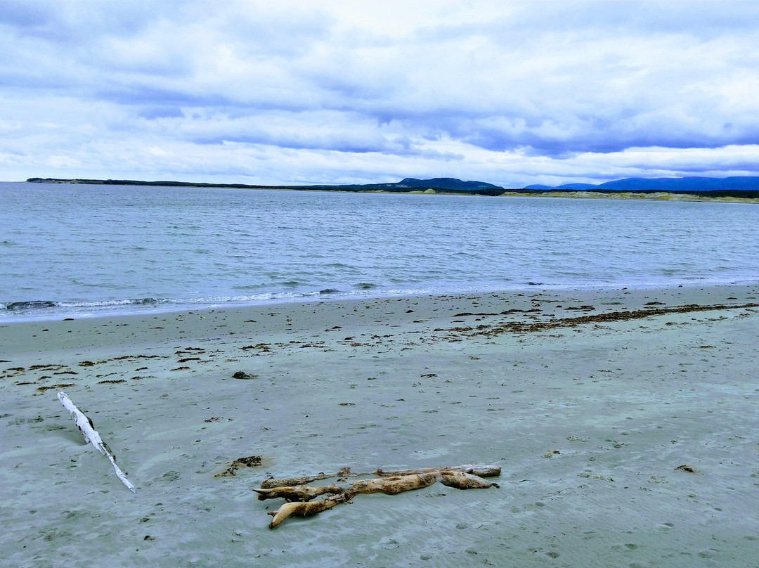 Shallow Bay Beach景点图片