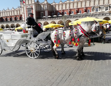 克莱兹默酒店主图
