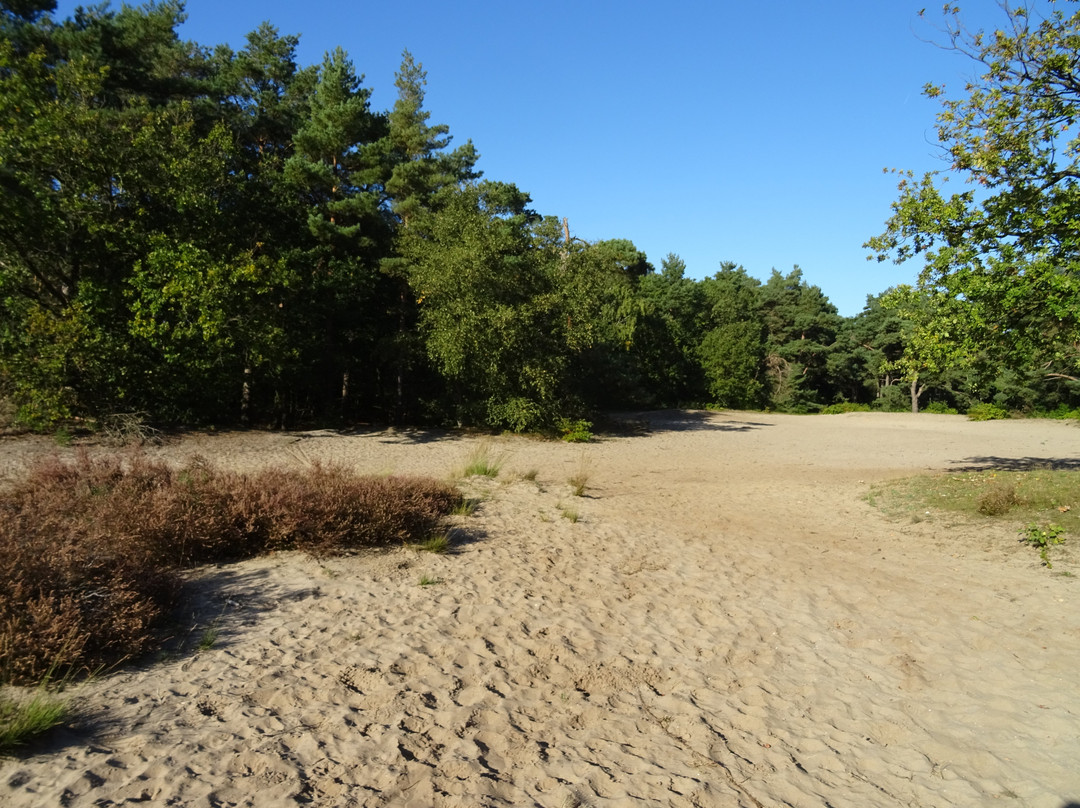 Goois Natuurreservaat景点图片