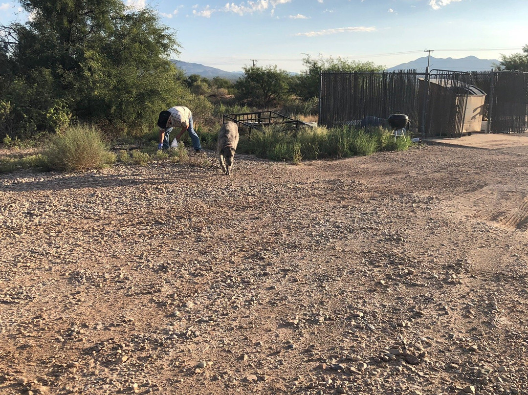 Copper Stay Inn主图