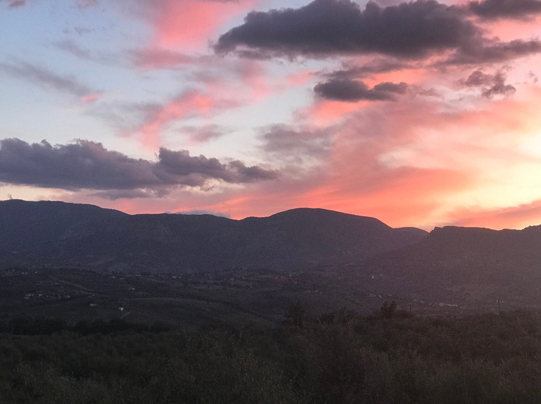 Agriturismo Olivuccia主图