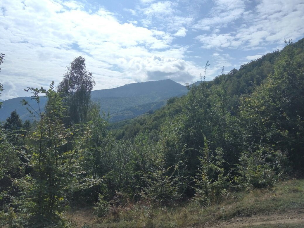 Carpathian Biosphere Reserve景点图片