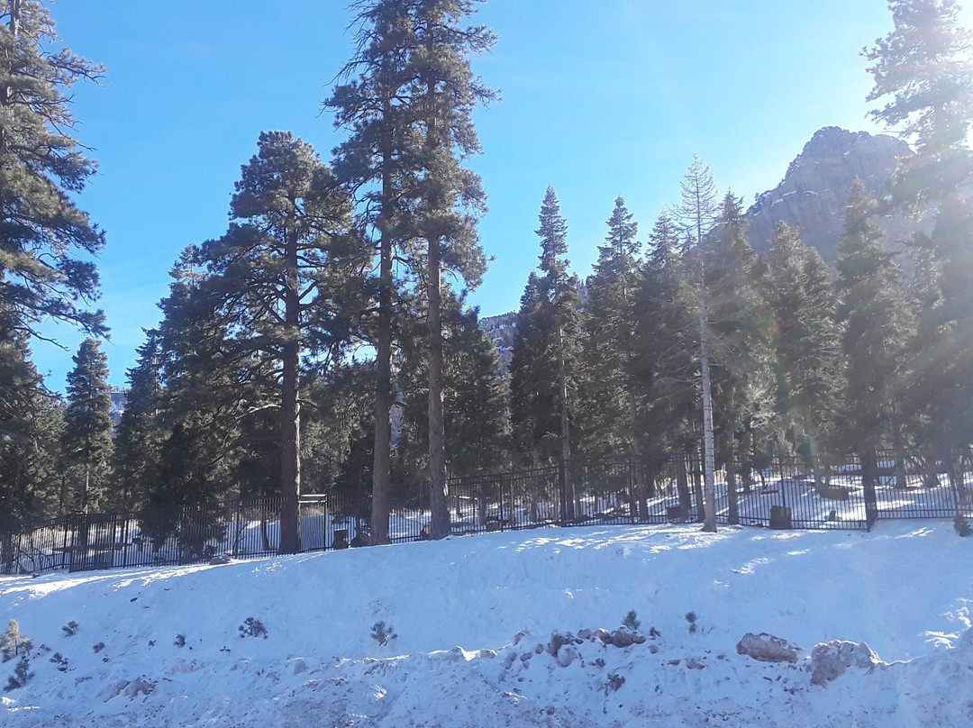 Las Vegas D-Tours-拉斯维加斯必去景点