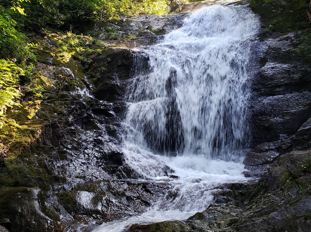 Walker Falls-Barnardsville必去景点