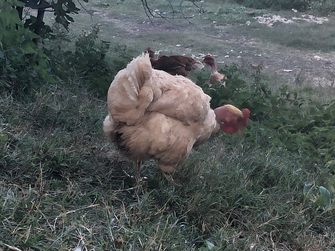 Chambres de Pech Mortier主图