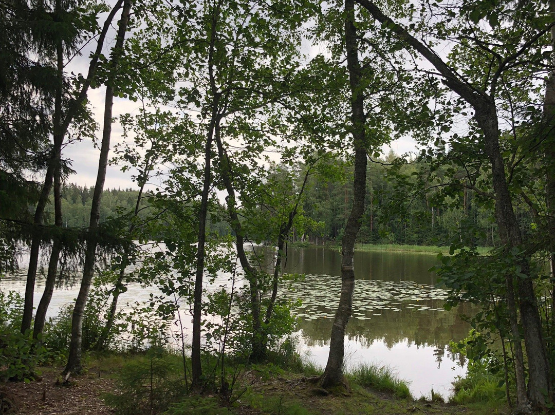 Kuusijärvi-万塔必去景点