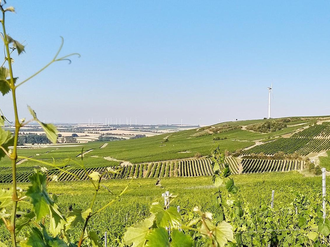 Der Entspannende-Selzen必去景点