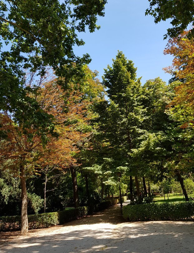 Parque La Quinta de los Molinos景点图片