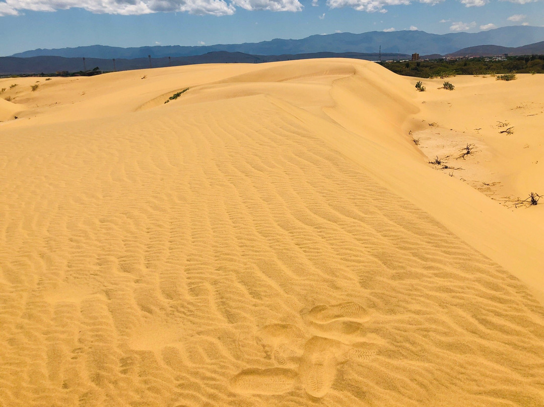 Los Medanos de Coro景点图片