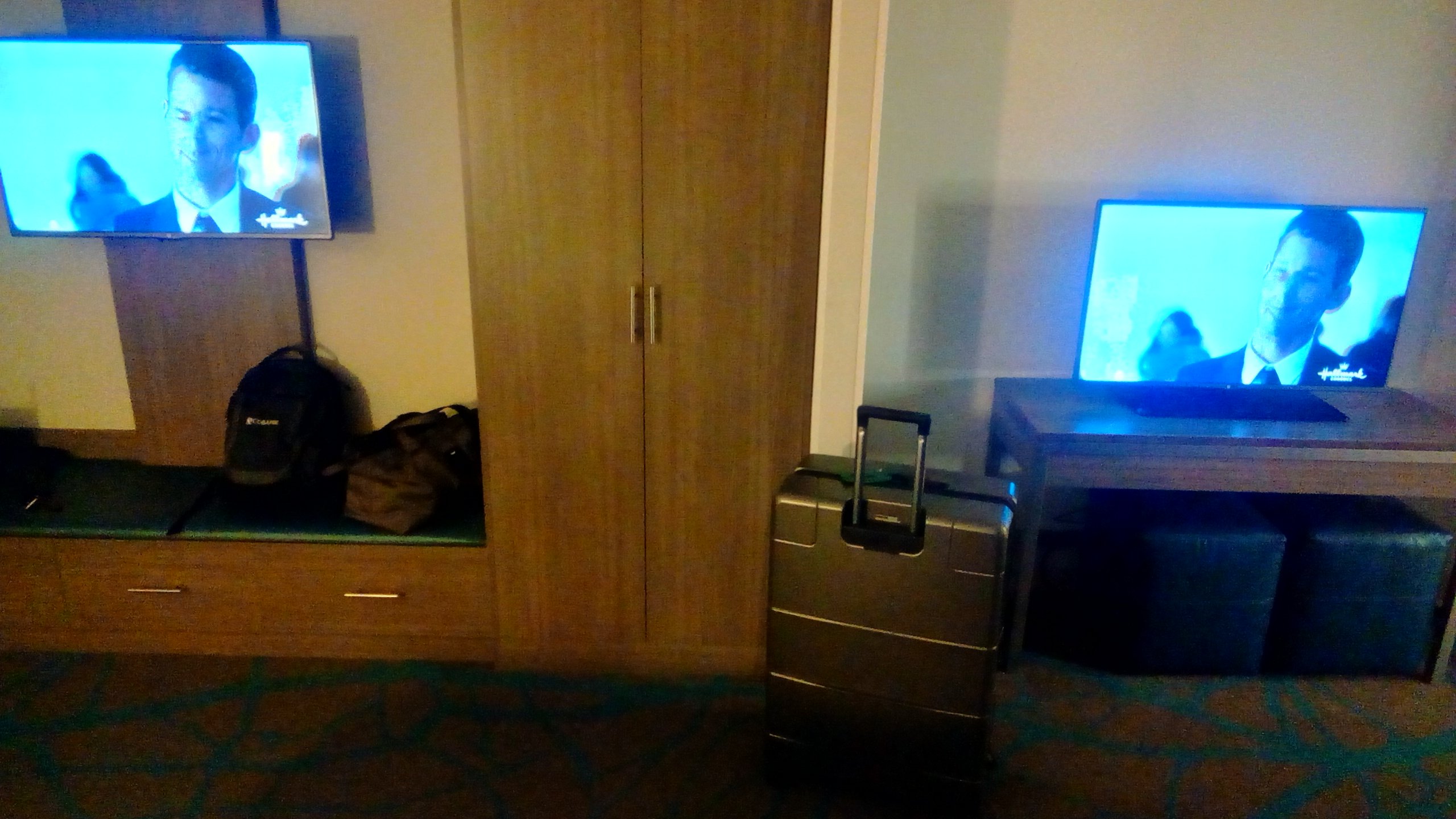 Holiday Inn Express & Suites Litchfield West By IHG-酒店景观