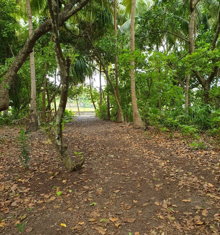 Island Pavilion主图