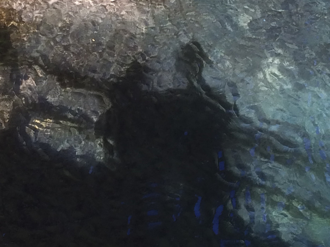 Clear Lake-Sisters必去景点