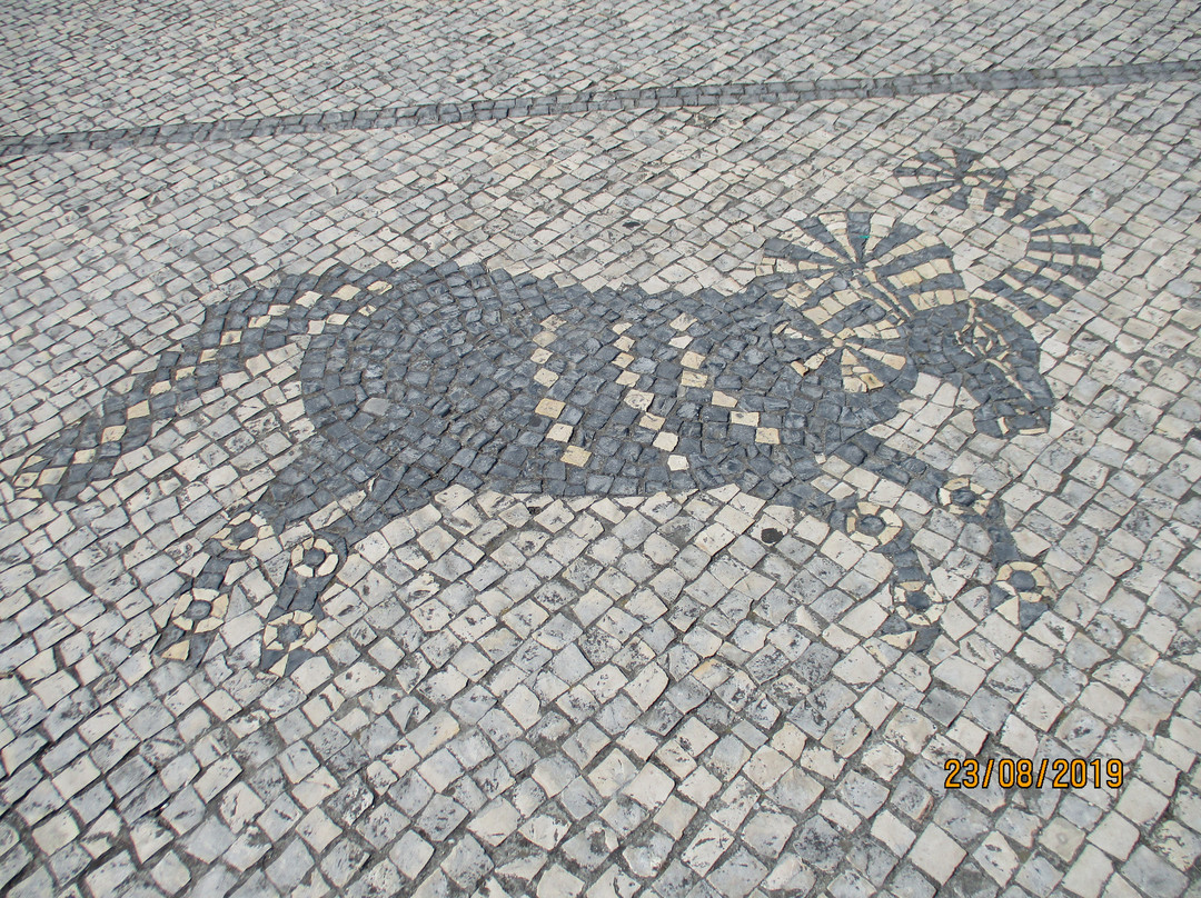 Zodíaco na Calçada Portuguesa-阿威罗必去景点