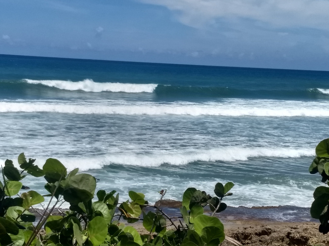 Surfer's Beach景点图片