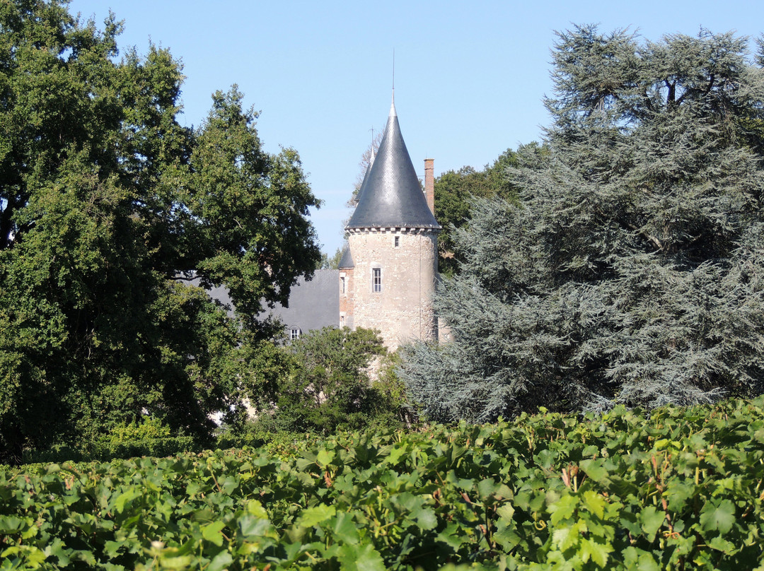 Château de Tracy景点图片