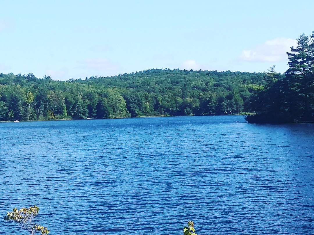 Burr Pond State Park-托灵顿必去景点