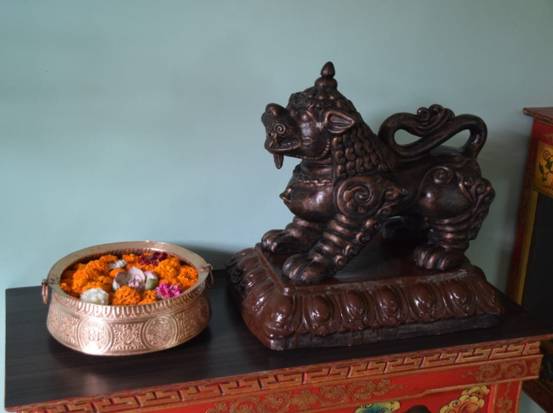 Oasis Kathmandu Hotel主图