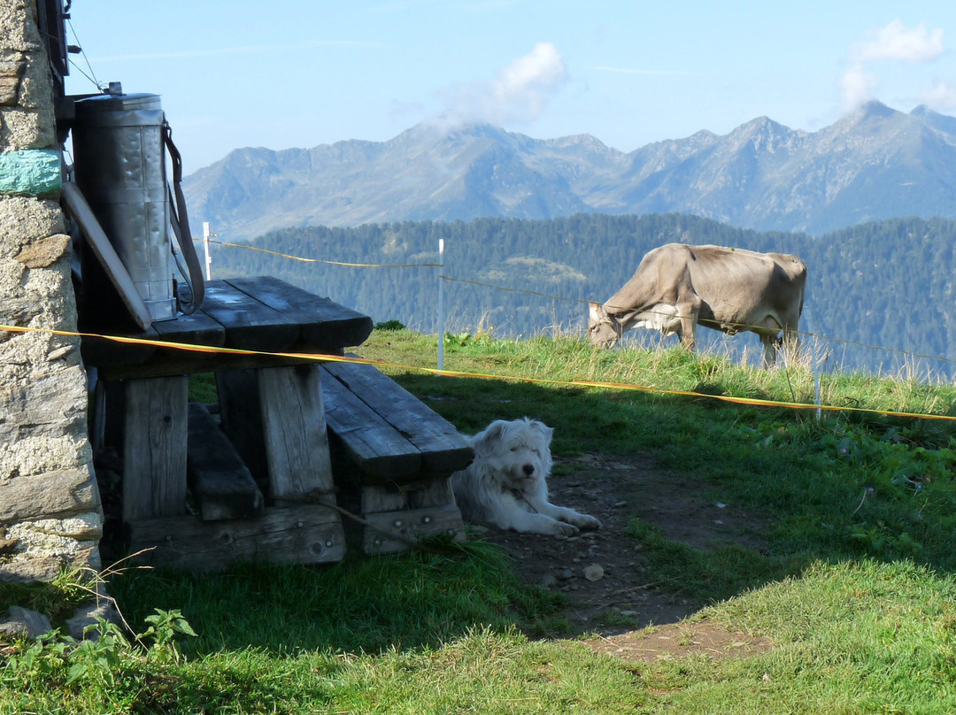 Albaredo per San Marco旅游攻略图片