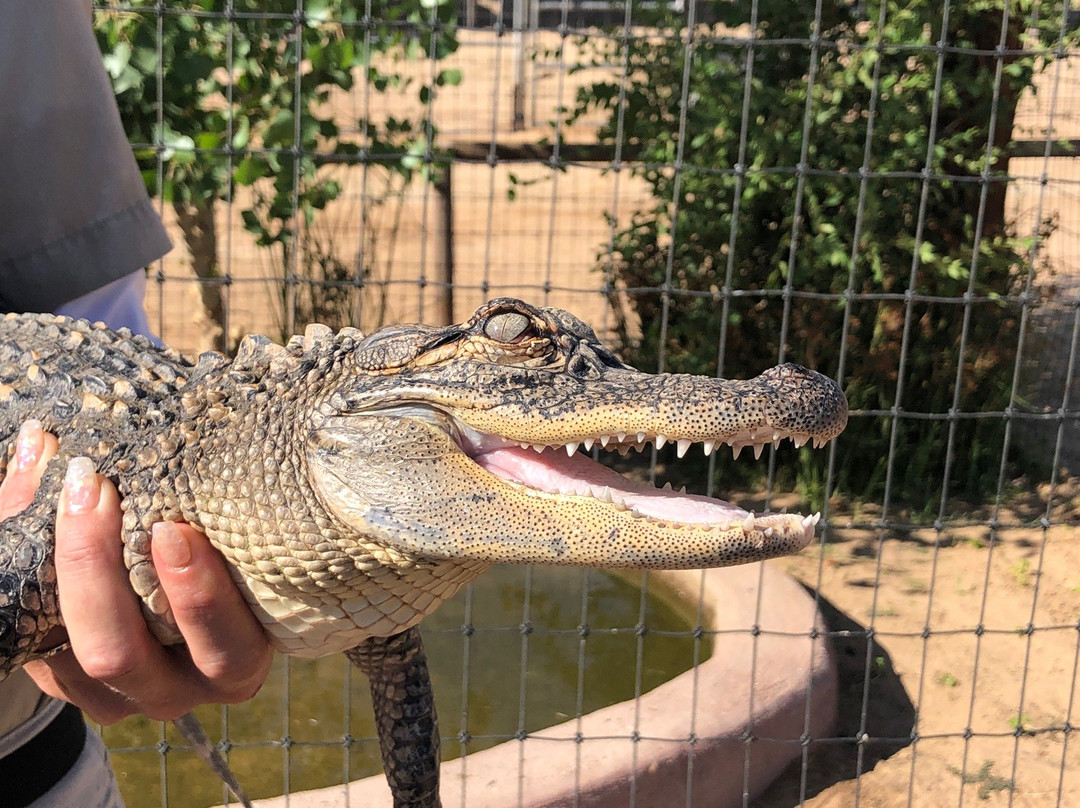 Hesperia Zoo-希斯皮里亚必去景点