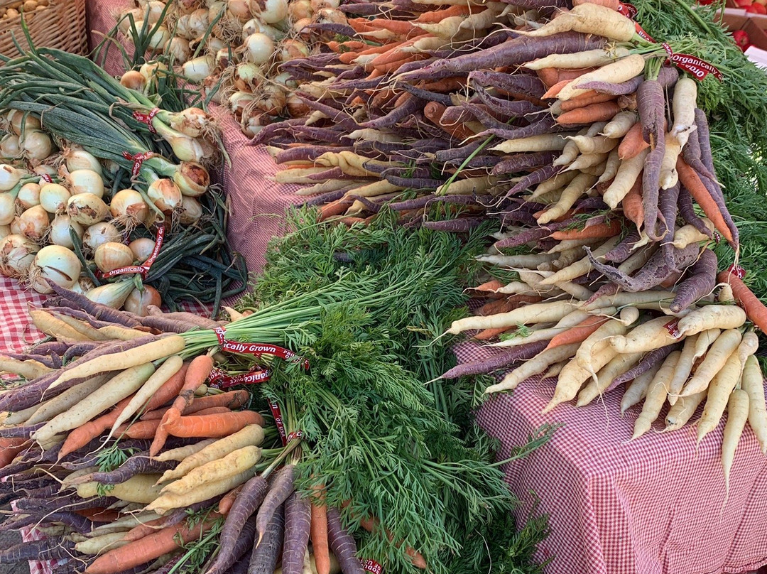 Boulder County Farmers Market-博尔德必去景点