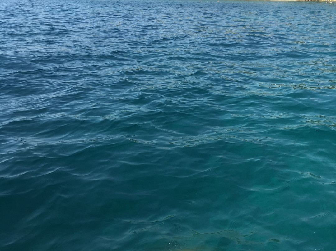 Adriatic Adventure景点图片