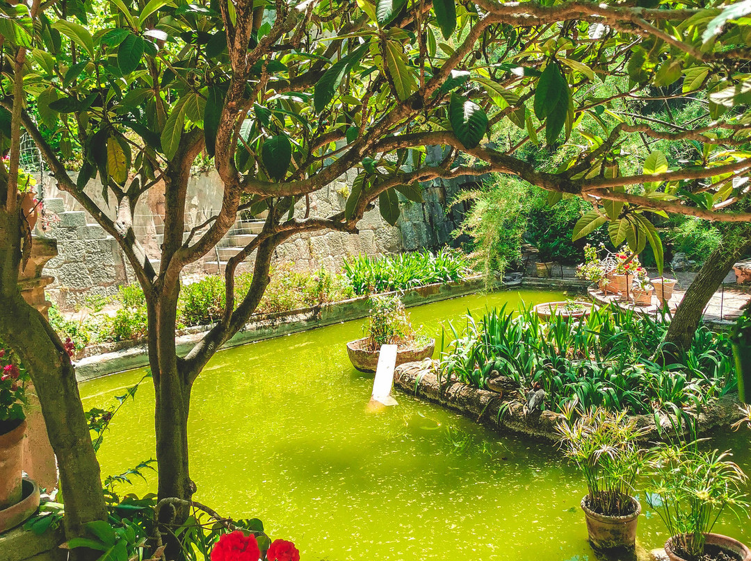 Son Marroig-德亚必去景点