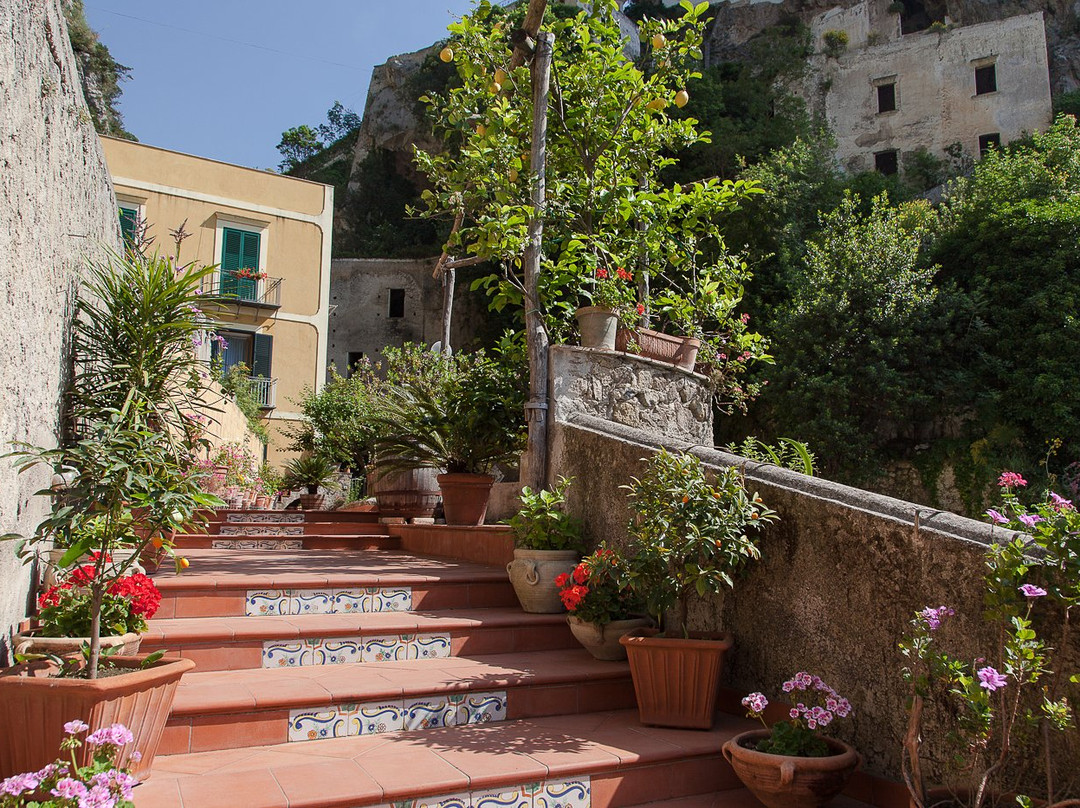 L'argine Fiorito主图