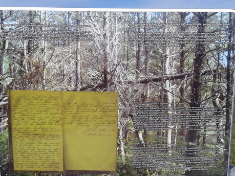 Winterland Ecomuseum-Winterland必去景点