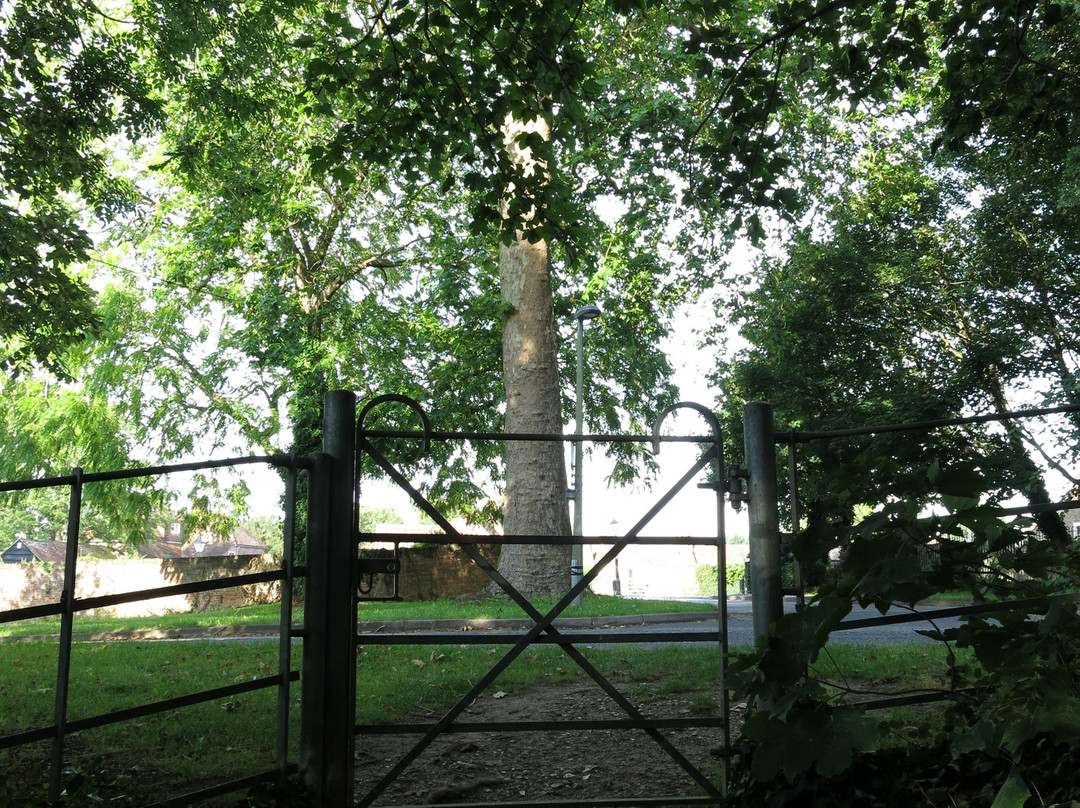 Southwick Priory-Southwick必去景点