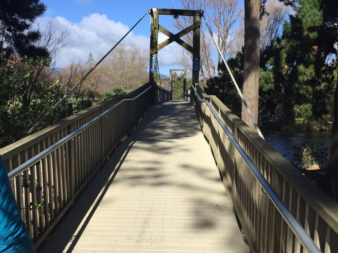 Waikanae Estuary Scientific Reserve景点图片