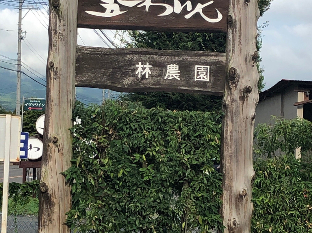Goichi Wine景点图片