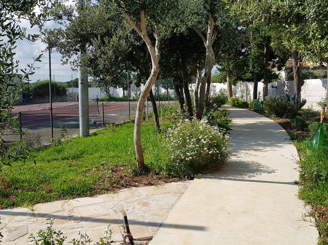 Masseria Scianolecchia主图