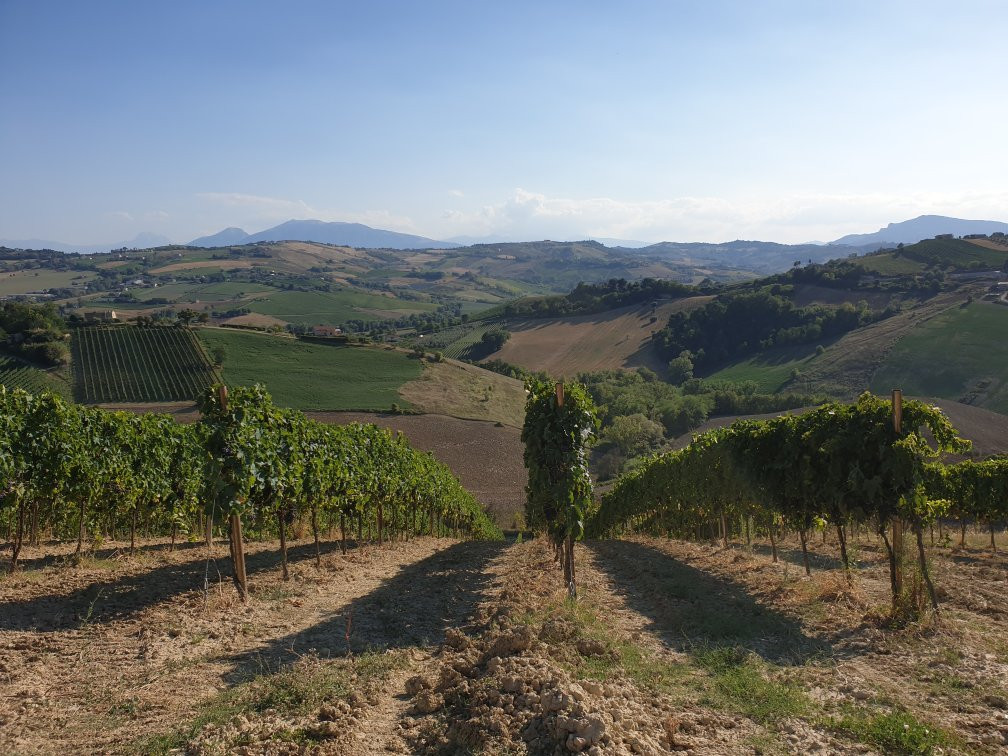 Tenuta Santori-里帕特兰索内必去景点
