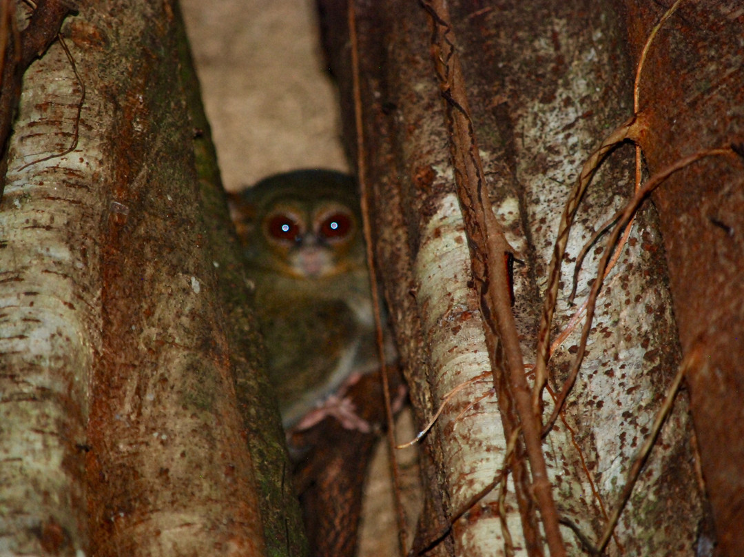 Botanica Nature Resort主图