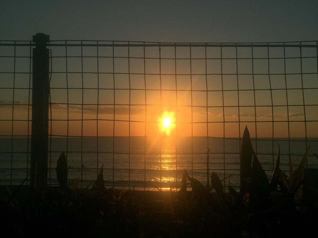 Aureo la Union主图