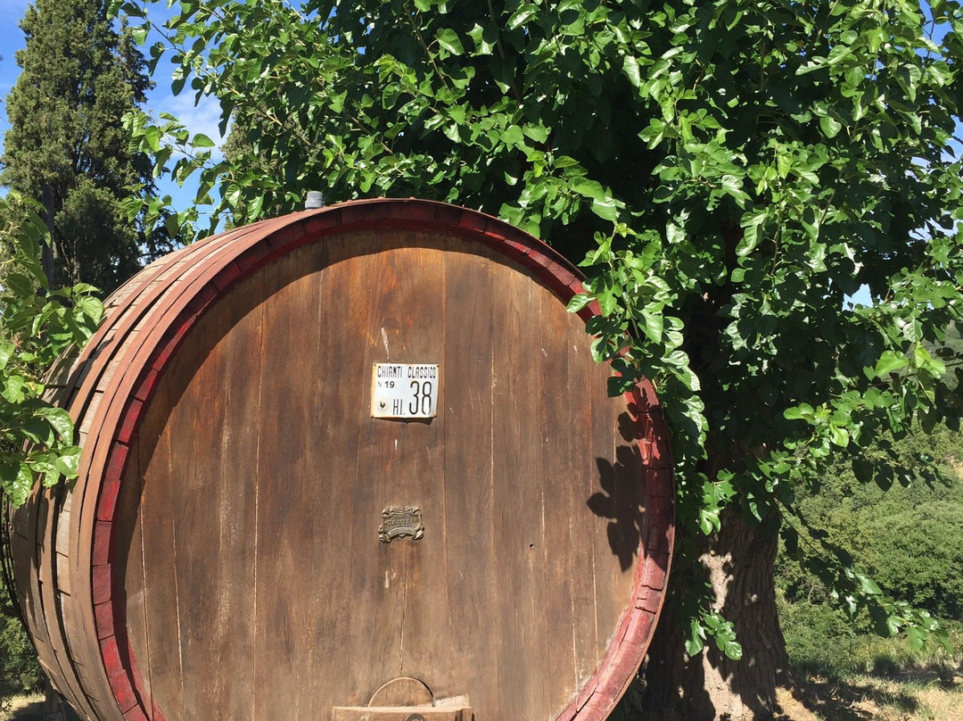 Cantina Castelvecchi in Chianti-拉达因基安蒂必去景点
