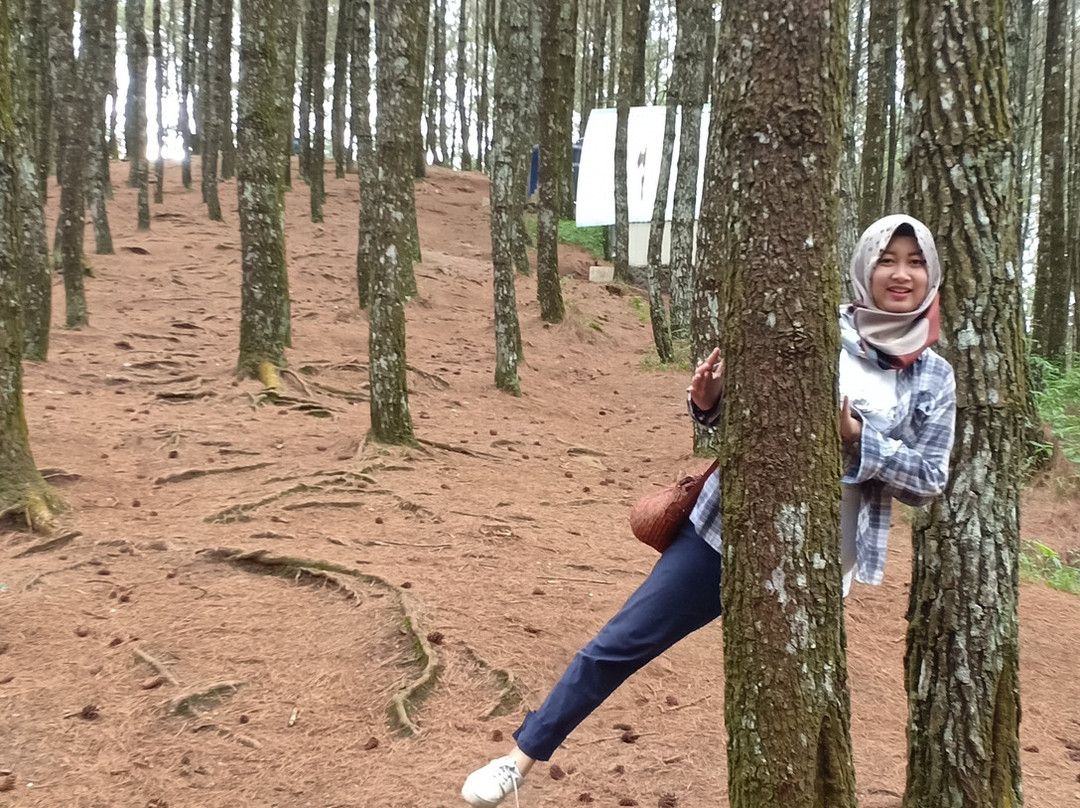 Moko Hill-万隆必去景点