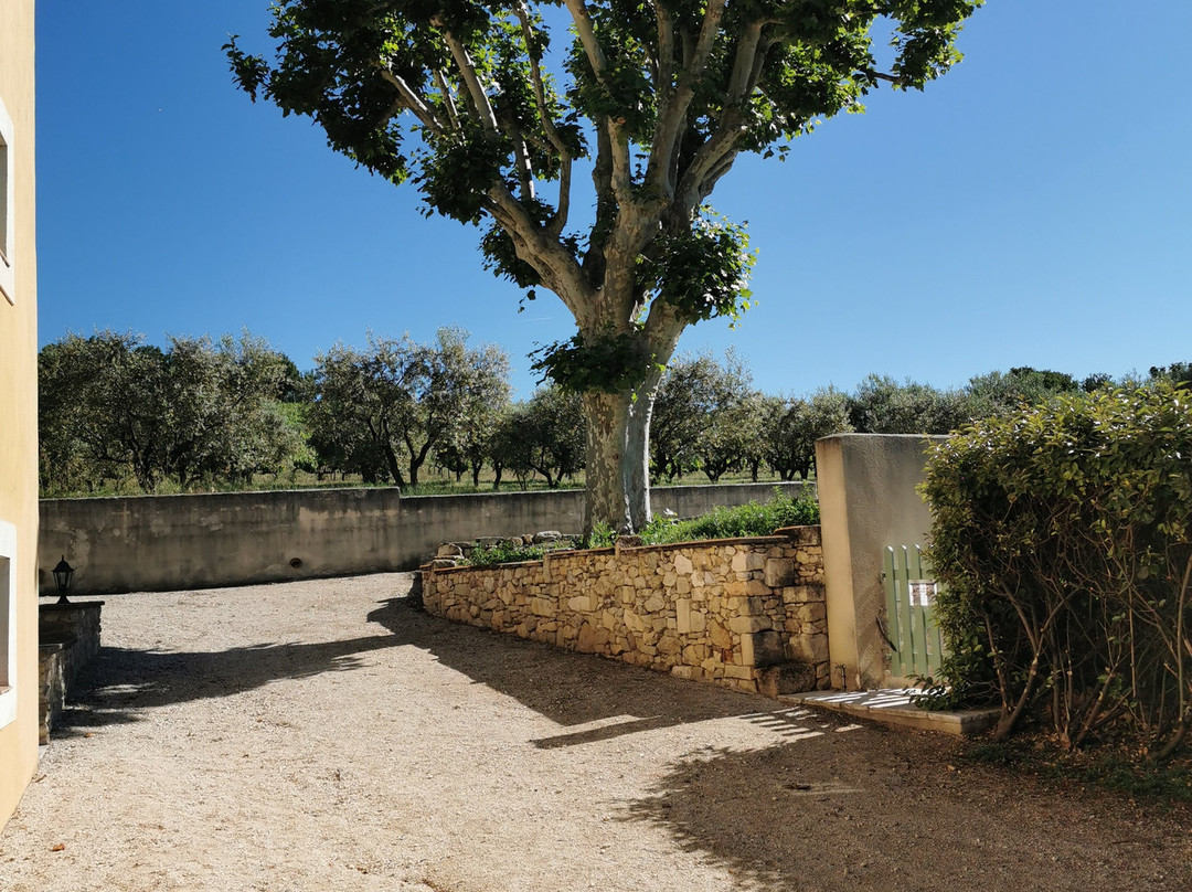 Chateau Font Alba主图
