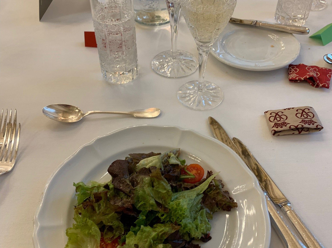 Palais Pallavicini-维也纳必去景点