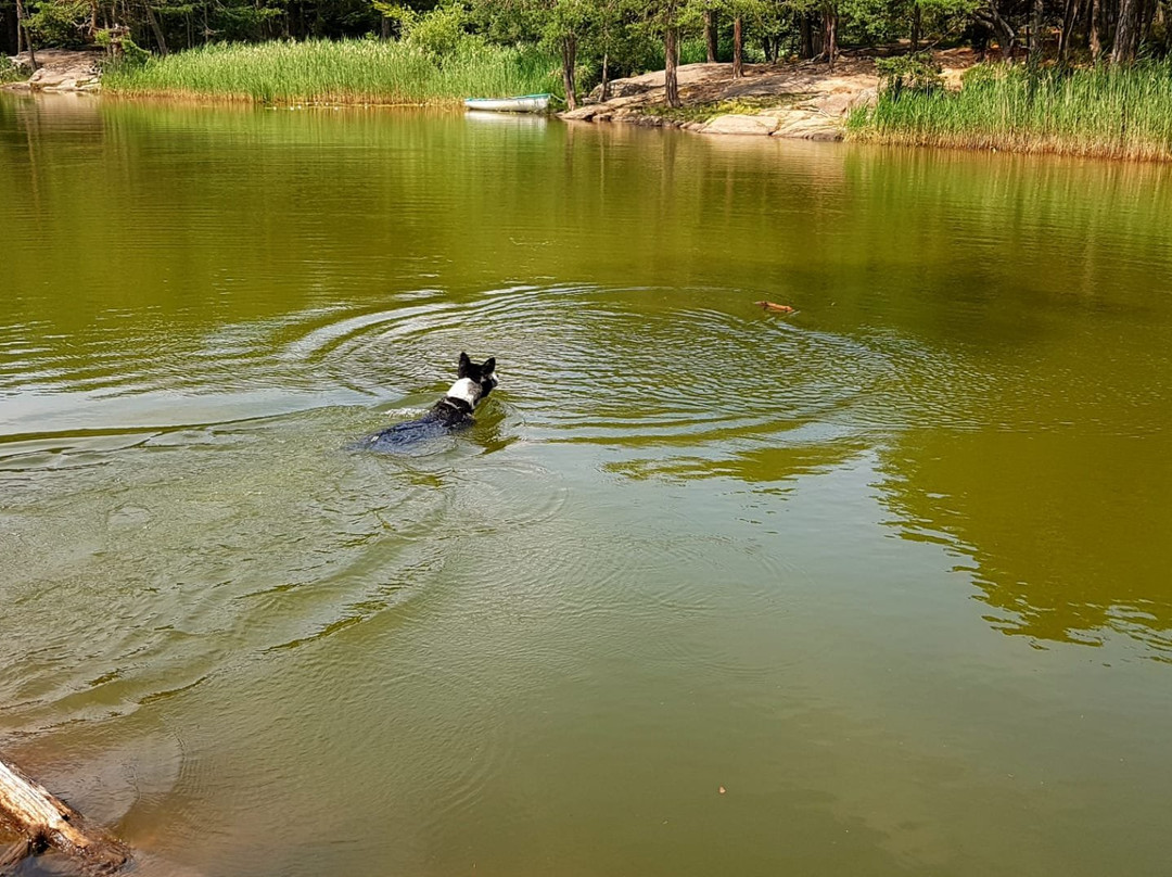 Lago del Colle景点图片