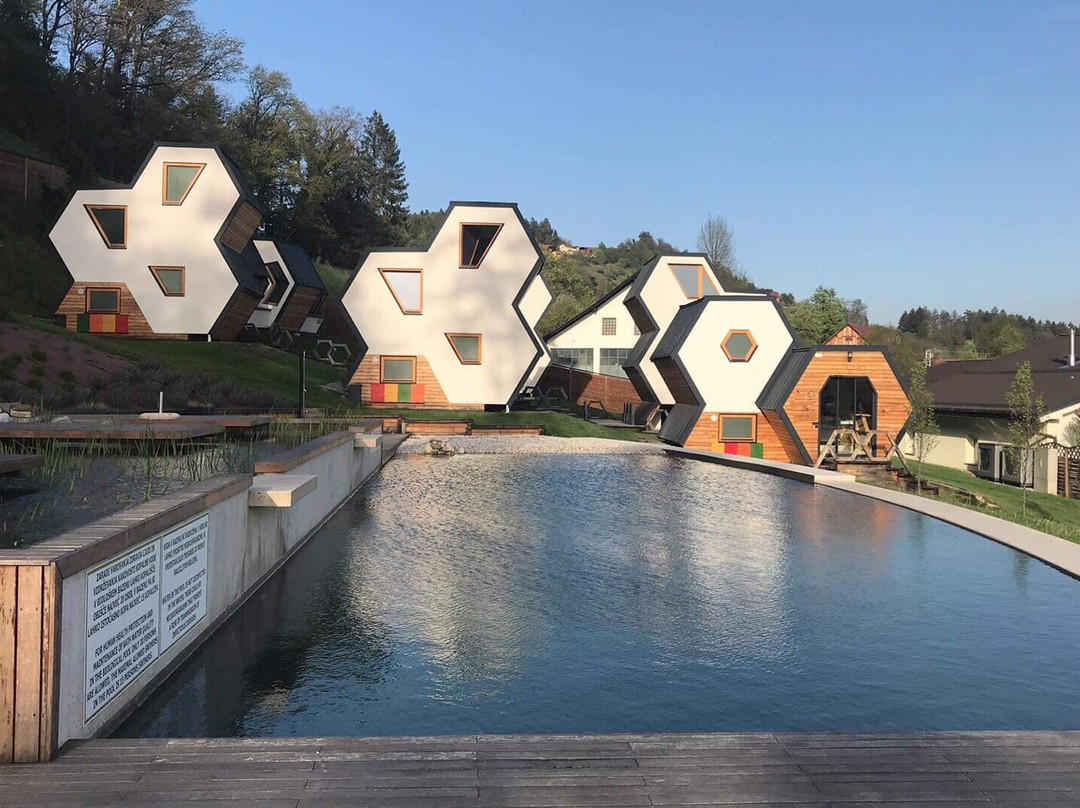 Apartments & Wellness Skok主图