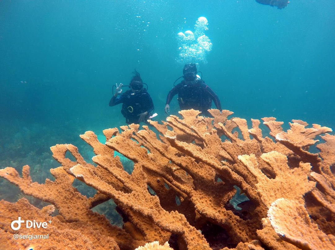 Chetumal Dive Club-切图马尔必去景点